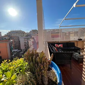 Bubus Terrace Roma